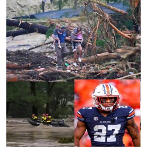 InCollage_20250713_182131129